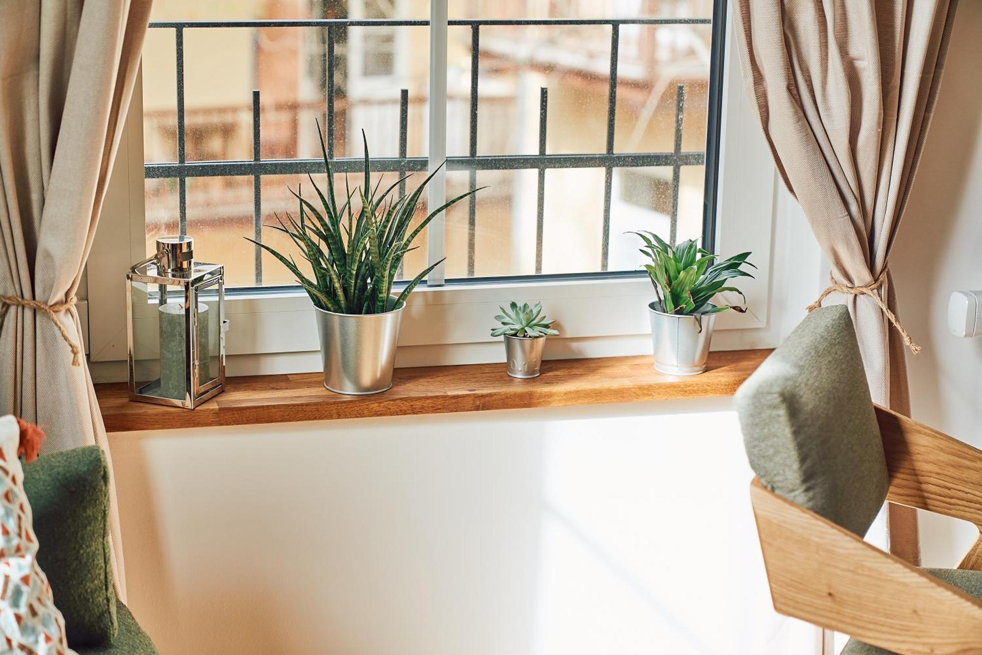 Tyzenhauz Apartments Siemiradzkiego Street Krakow Bagian luar foto